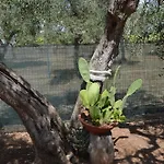 Casale Lupis Сasa de vacaciones Grumo Appula