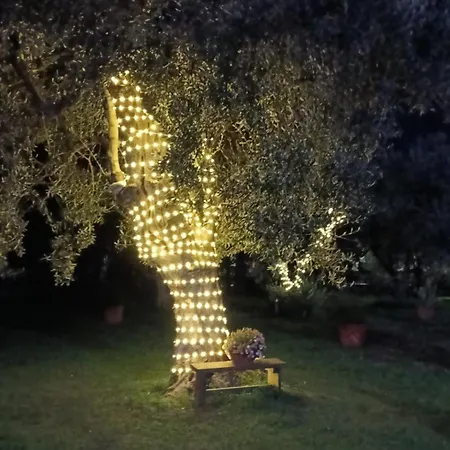Casale Lupis