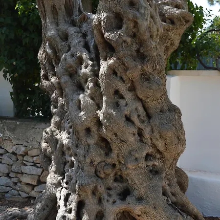 Casale Lupis Nyaraló *