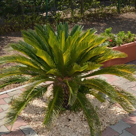 Σπίτι διακοπών Casale Lupis *