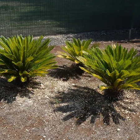 Casale Lupis Дом отдыха *