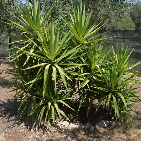 Дом отдыха Casale Lupis