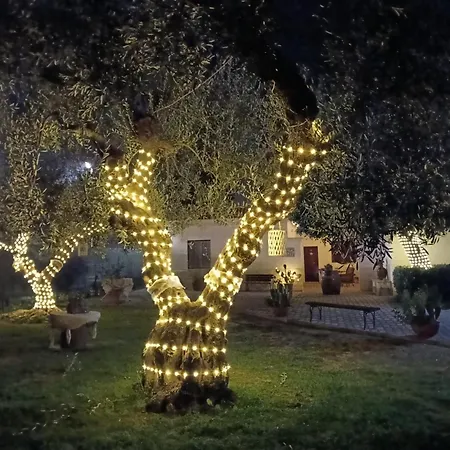 Casale Lupis
