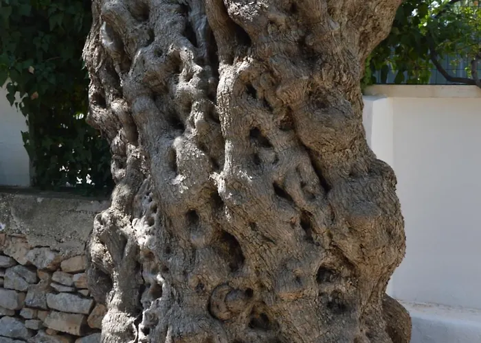 Casale Lupis Holiday home *