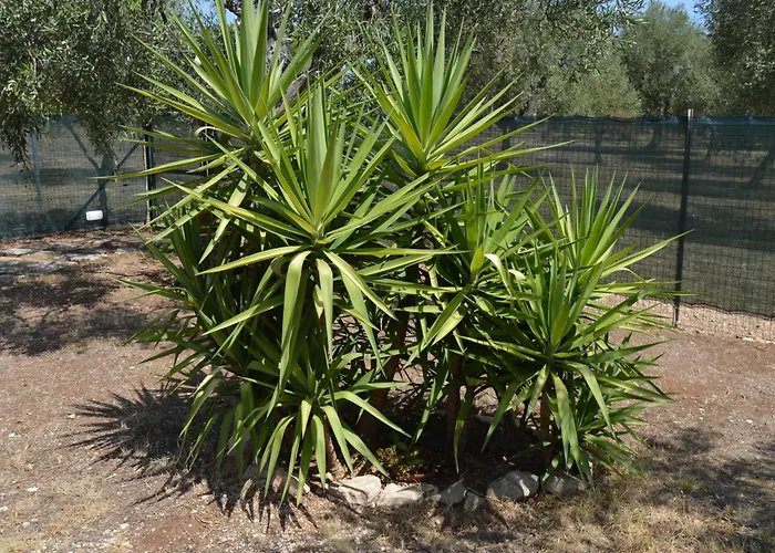 Tatil Evi Casale Lupis